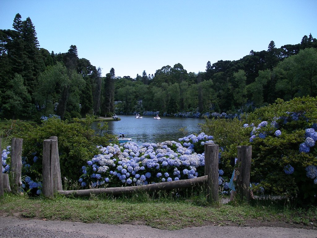 Lago Negro cercado por hortênsias e araucárias em Gramado