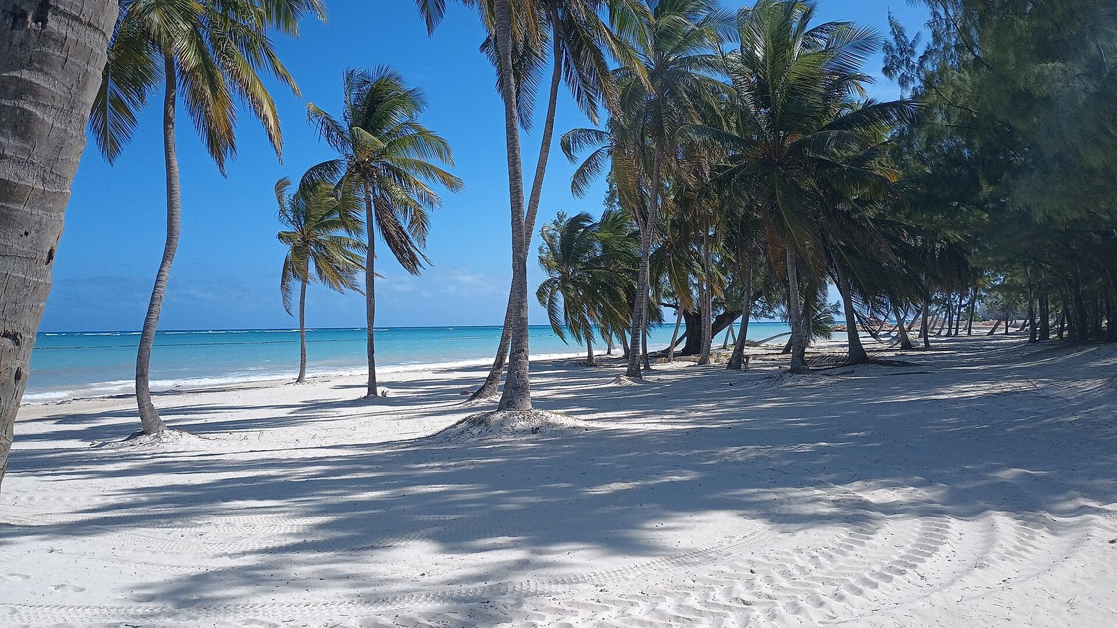 Costa de Cap Cana