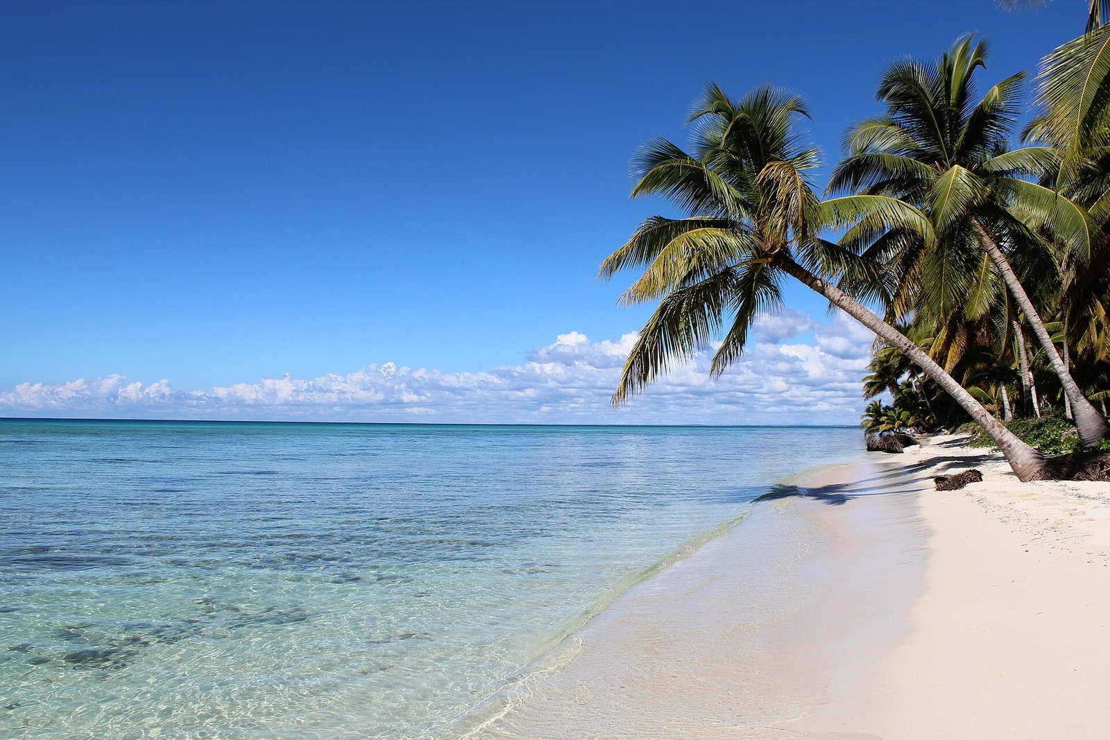 Ilha Saona